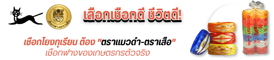 เชือกโยงทุเรียน ต้อง ตราแมวดำ-ตราเสือ  เชือกฟางของเกษตรกรตัวจริง