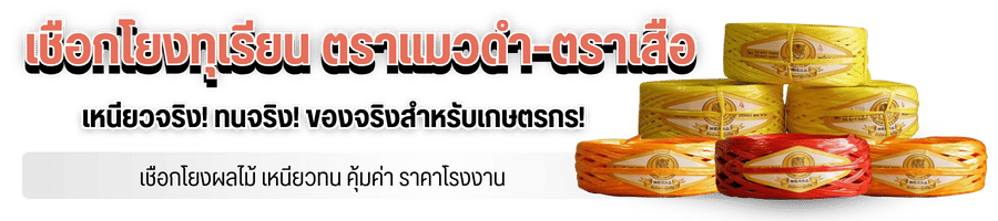 เชือกโยงผลไม้ เหนียวทน คุ้มค่า ราคาโรงงาน