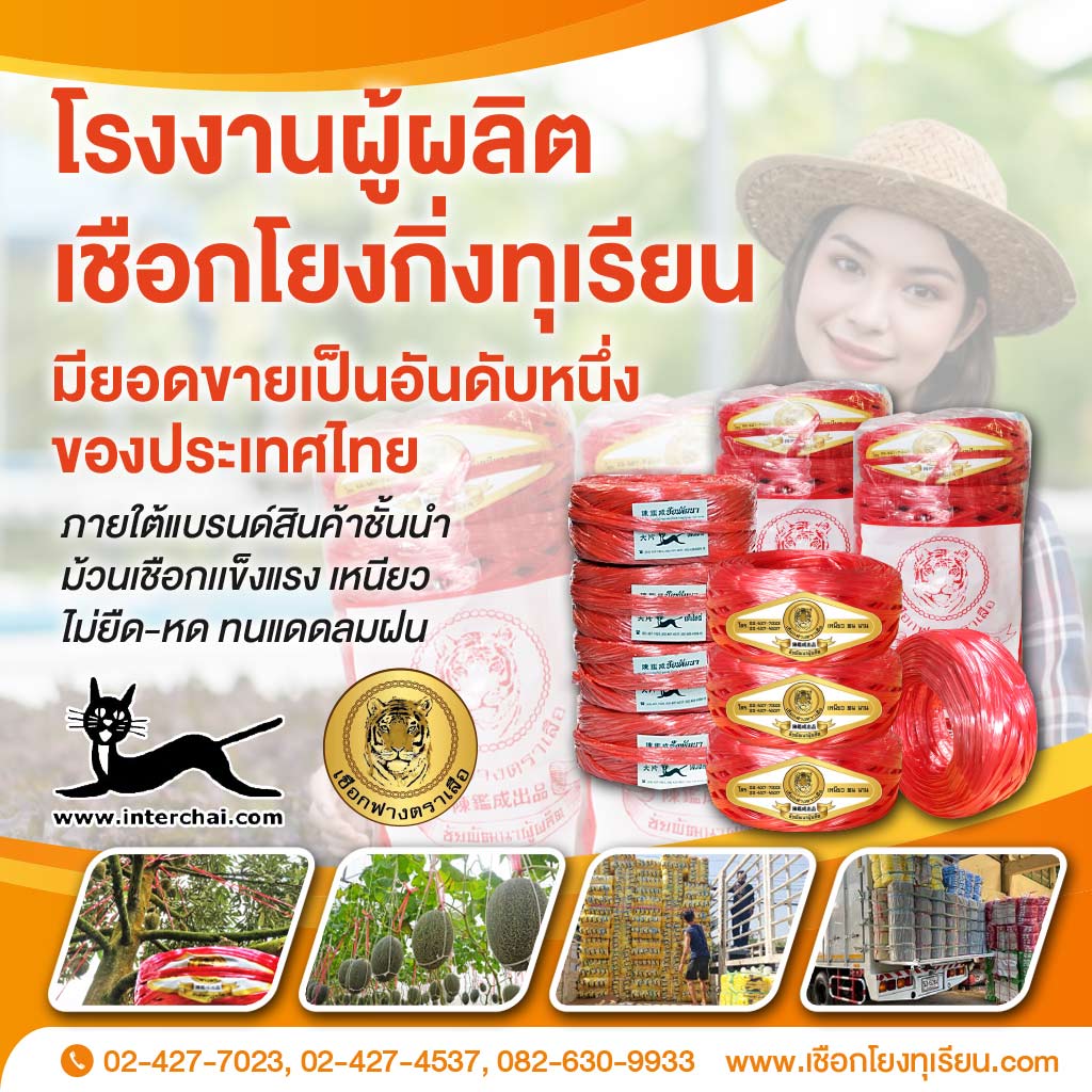 M80038679-01-เชือกโยงทุเรียน