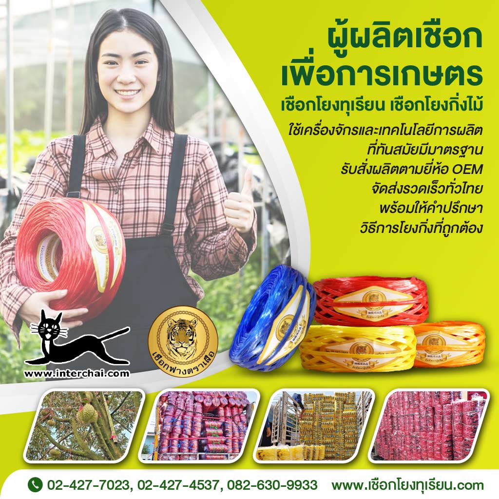 M80038679-02-เชือกโยงทุเรียน